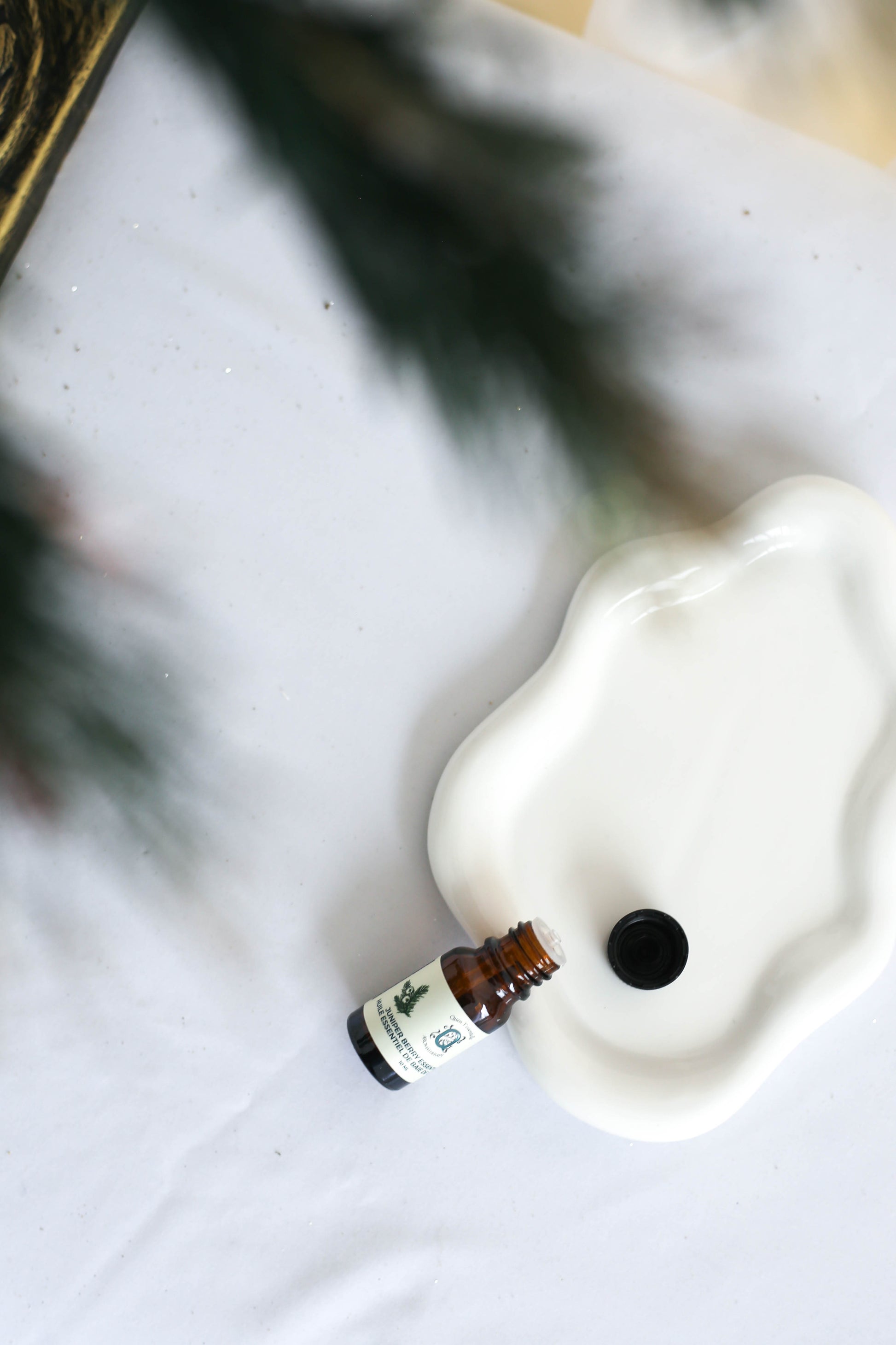 An open amber bottle of Juniper Essential Oil by Quen T’essentielle Aromatherapy resting beside a white ceramic dish, partially framed by blurred evergreen branches, evoking a calm, woodland-inspired vibe.