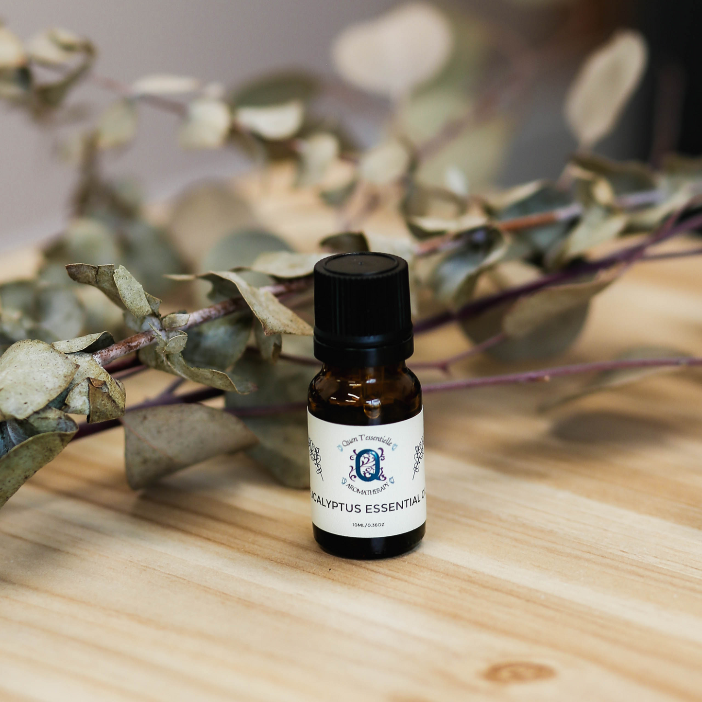 10ml bottle of Eucalyptus Essential Oil by Quen T’essentielle displayed on a natural wood surface with eucalyptus branches in the background – pure and refreshing botanical oil for wellness and respiratory support.