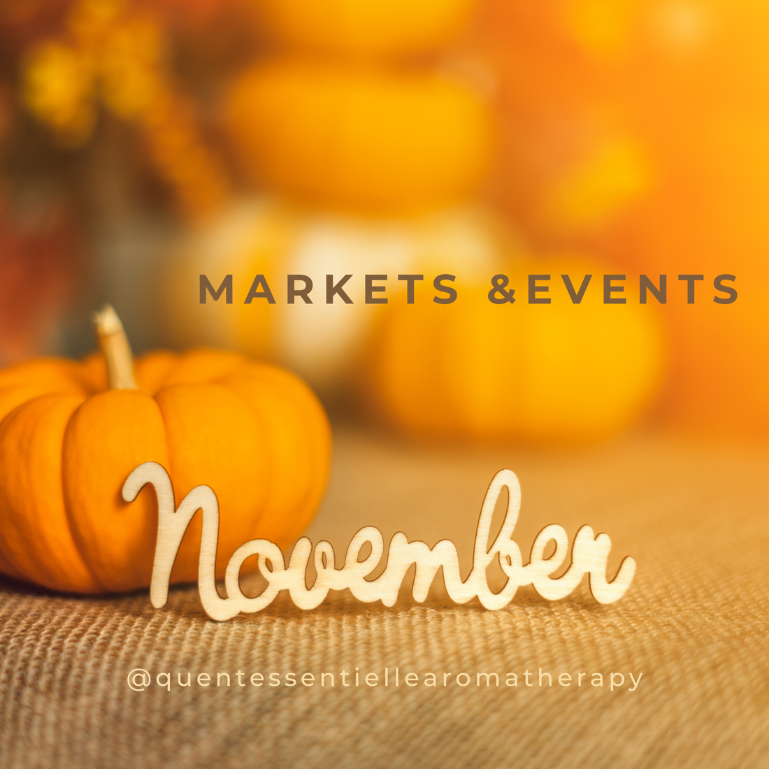 November Markets & Events
