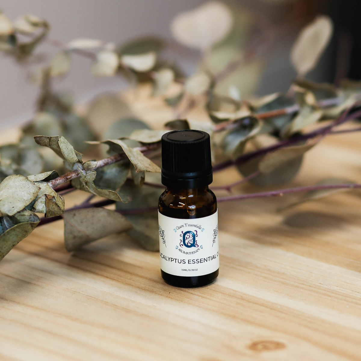 10ml bottle of Eucalyptus Essential Oil by Quen T’essentielle displayed on a natural wood surface with eucalyptus branches in the background – pure and refreshing botanical oil for wellness and respiratory support.